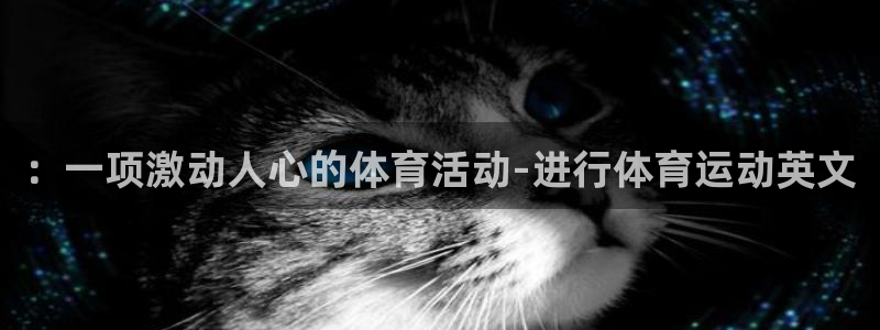 yy易游官网下载平台APP::一项激动人心的体育活动-进行体