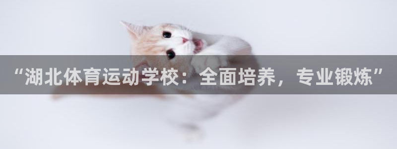 yy易游官方正版app集团官网网址:“湖北体育运动学校:全面